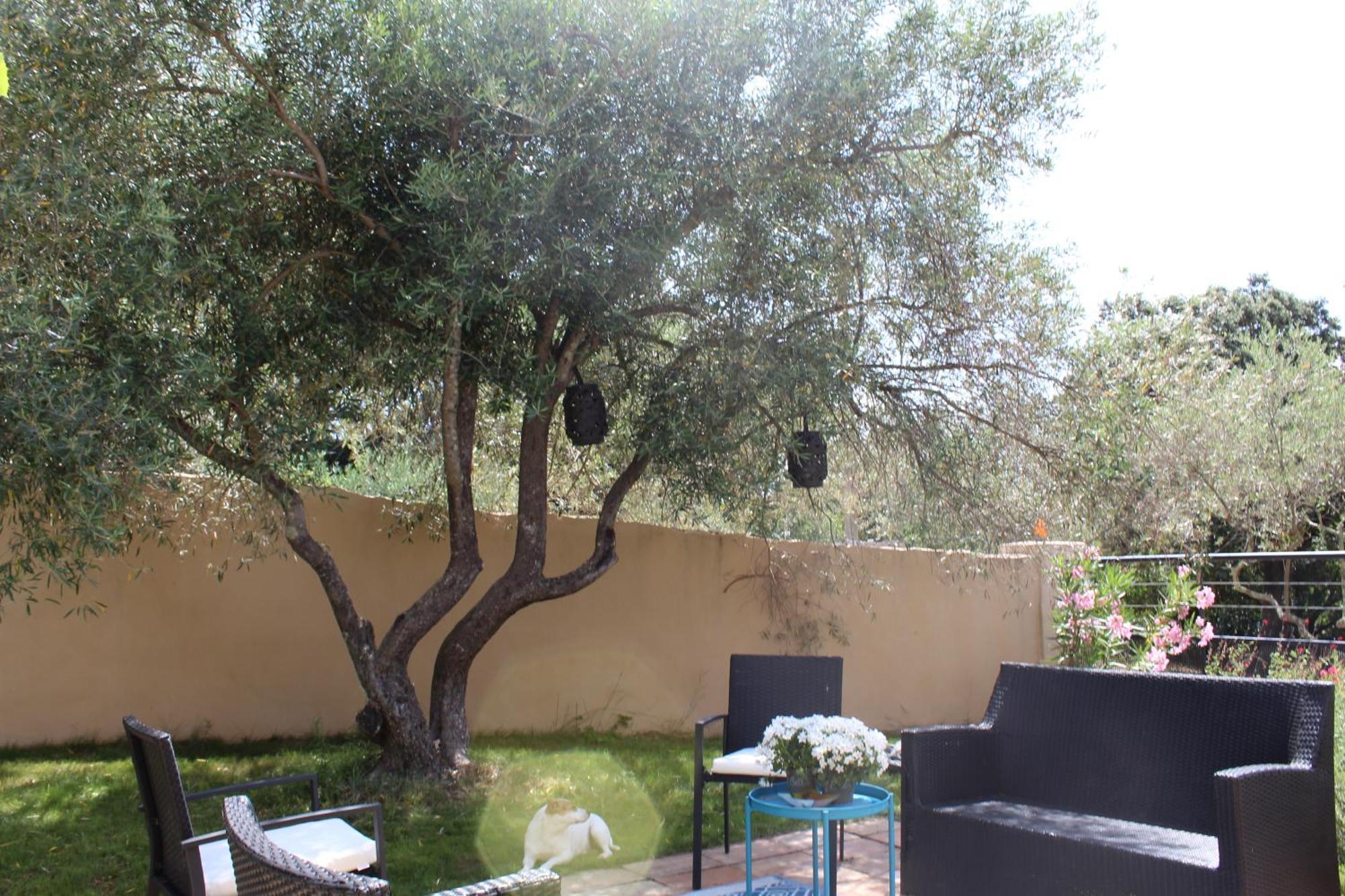 Villa Pierre Blanche Le Calme A 5Mn Du Centre Ville Nîmes Extérieur photo